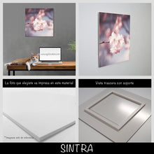 Cargar imagen en el visor de la galería, Cerezo