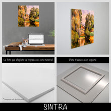 Cargar imagen en el visor de la galería, Cezanne