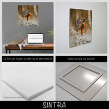 Cargar imagen en el visor de la galería, Colibrí