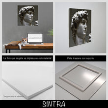 Cargar imagen en el visor de la galería, David