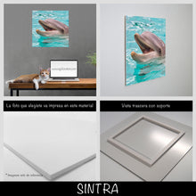 Cargar imagen en el visor de la galería, Delfín