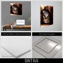 Cargar imagen en el visor de la galería, Gatito