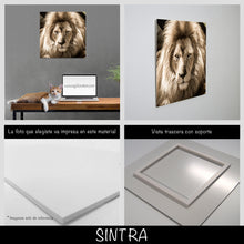 Cargar imagen en el visor de la galería, León