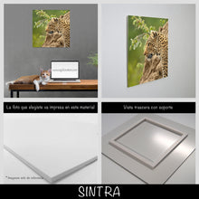 Cargar imagen en el visor de la galería, Leopardo