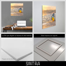 Cargar imagen en el visor de la galería, Mariposa