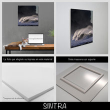 Cargar imagen en el visor de la galería, Oleaje