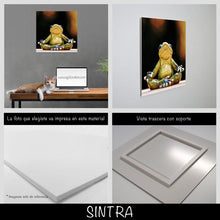 Cargar imagen en el visor de la galería, Rana yoga