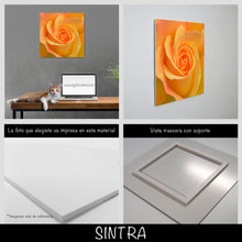 Cargar imagen en el visor de la galería, Rosa amarilla