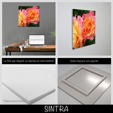 Cargar imagen en el visor de la galería, Rosas