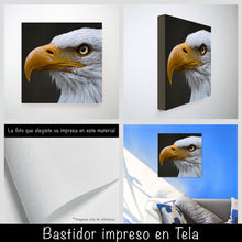 Cargar imagen en el visor de la galería, Aguila