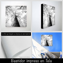 Cargar imagen en el visor de la galería, Bosque