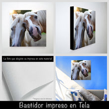 Cargar imagen en el visor de la galería, Caballos