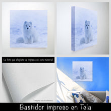 Cargar imagen en el visor de la galería, Zorro Polar