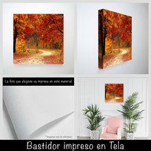 Cargar imagen en el visor de la galería, Camino