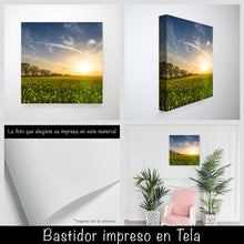 Cargar imagen en el visor de la galería, Campo