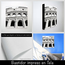 Cargar imagen en el visor de la galería, Coliseo