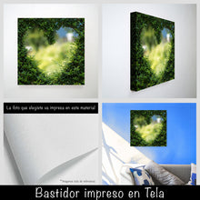 Cargar imagen en el visor de la galería, Corazón jardín