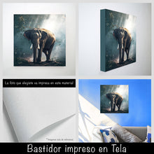 Cargar imagen en el visor de la galería, Elefante