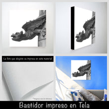 Cargar imagen en el visor de la galería, Gárgola