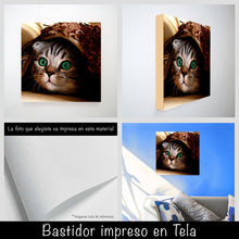 Cargar imagen en el visor de la galería, Gatito