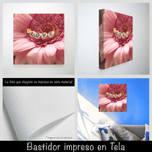 Cargar imagen en el visor de la galería, Margarita
