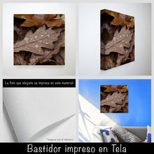 Cargar imagen en el visor de la galería, Hojas