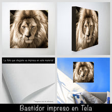 Cargar imagen en el visor de la galería, León