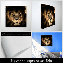 Cargar imagen en el visor de la galería, Leon Africano