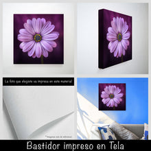 Cargar imagen en el visor de la galería, Margarita lila