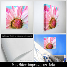 Cargar imagen en el visor de la galería, Margarita rosa
