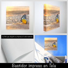 Cargar imagen en el visor de la galería, Mariposa