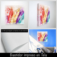 Cargar imagen en el visor de la galería, Plumas