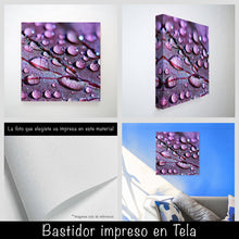 Cargar imagen en el visor de la galería, Gotas de rocío