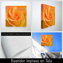 Cargar imagen en el visor de la galería, Rosa amarilla