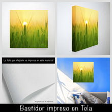 Cargar imagen en el visor de la galería, Trigo