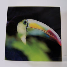 Cargar imagen en el visor de la galería, Petit 2 impreso en Acrílico