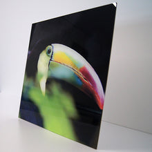 Cargar imagen en el visor de la galería, Petit 2 impreso en Acrílico