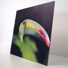 Cargar imagen en el visor de la galería, Petit 2 impreso en Aluminio Cepillado