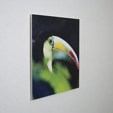 Cargar imagen en el visor de la galería, Slim impreso en SINTRA