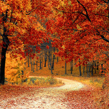 Cargar imagen en el visor de la galería, Camino