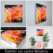 Cargar imagen en el visor de la galería, Rosas
