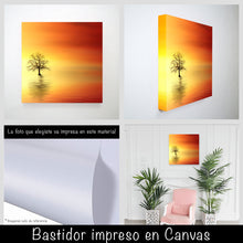 Cargar imagen en el visor de la galería, Atardecer
