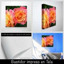 Cargar imagen en el visor de la galería, Rosas
