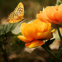 Cargar imagen en el visor de la galería, Mariposa
