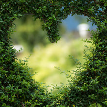 Cargar imagen en el visor de la galería, Corazón jardín
